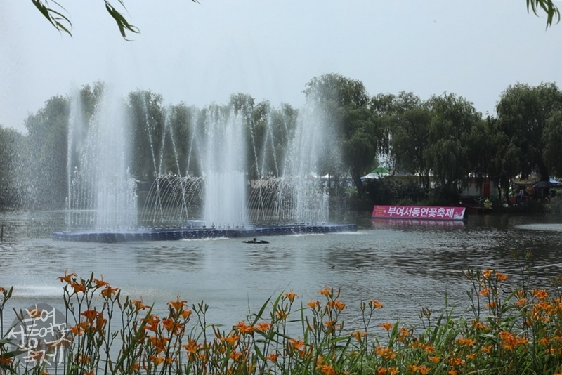 81ea15d6fe883149b80a0a58adb8f279_1749989429_1708.jpg
