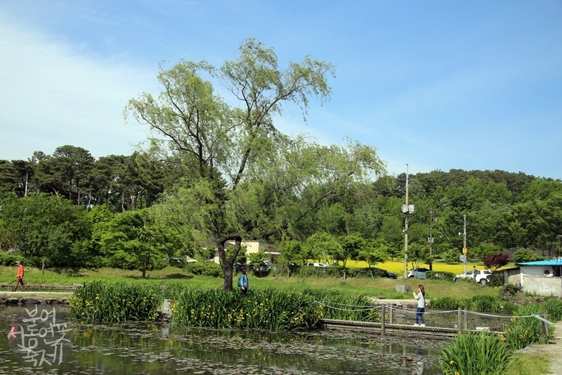 81ea15d6fe883149b80a0a58adb8f279_1750005567_991.jpg